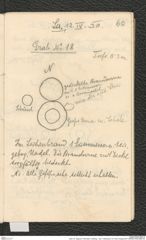 Seite 76, Tagebuch "Dürnstein | Wöbling - neol. | Höbenbach | Kl. Rust | Noppendorf" (NHMW-PRAE-BBB-45)
